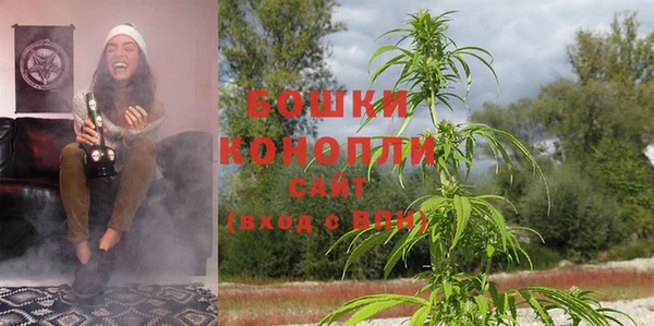 ПСИЛОЦИБИНОВЫЕ ГРИБЫ Балабаново