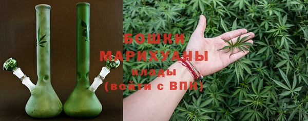 ПСИЛОЦИБИНОВЫЕ ГРИБЫ Балабаново