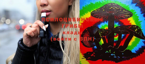 винт Балахна