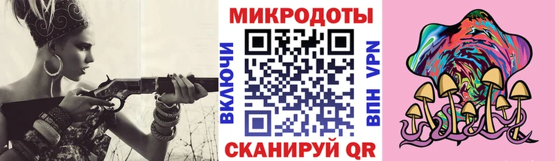 Псилоцибиновые грибы Cubensis  купить   Борисоглебск 
