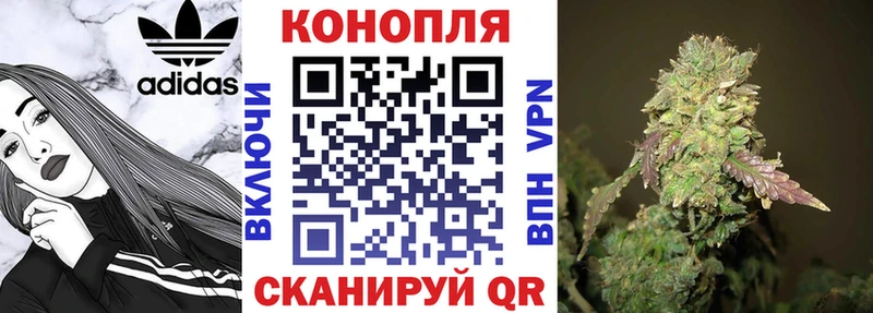 Конопля индика  MEGA маркетплейс  Борисоглебск  купить  цена 